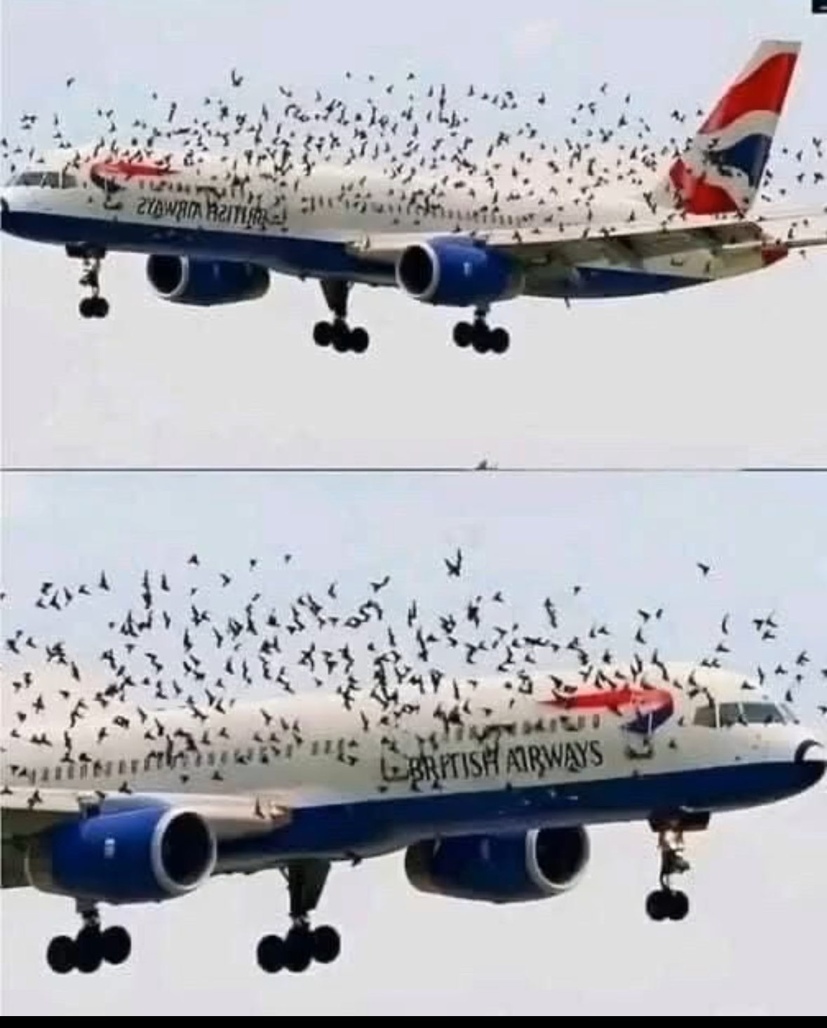 What Made This Pilot Break Down Midair Has Everyone Talking