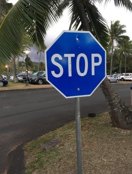 What Does a Blue Stop Sign Mean?