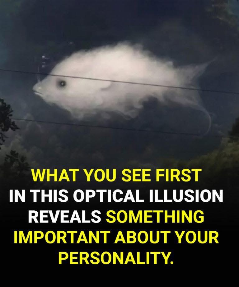 Test: What you see first reveals some