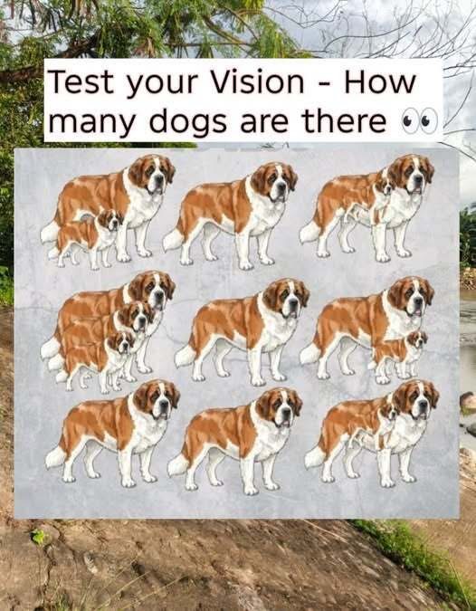 Can You Spot All the Dogs? Test Your Sharp Eyes!