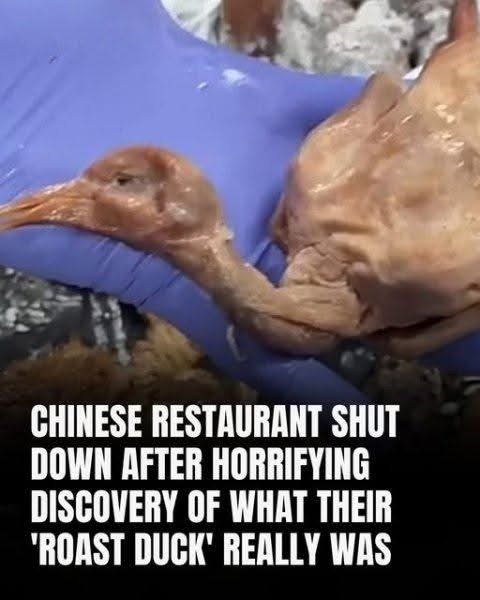 “Chinese Restaurant Shut Down After Horrifying Discovery of What Their ‘Roast Duck’ Really Was”