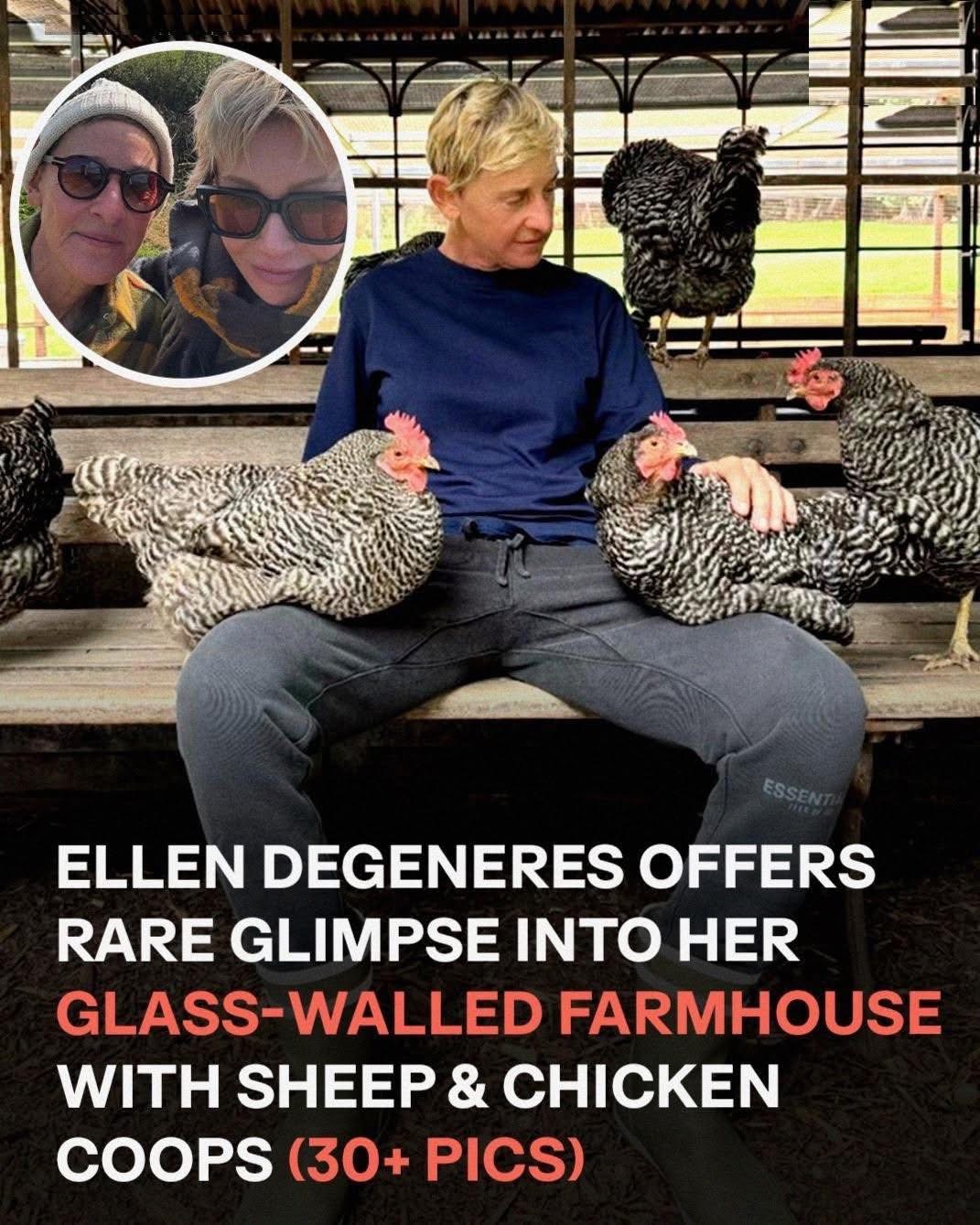 A Look Inside Ellen DeGeneres’ Expansive Home in the English Countryside – Photo