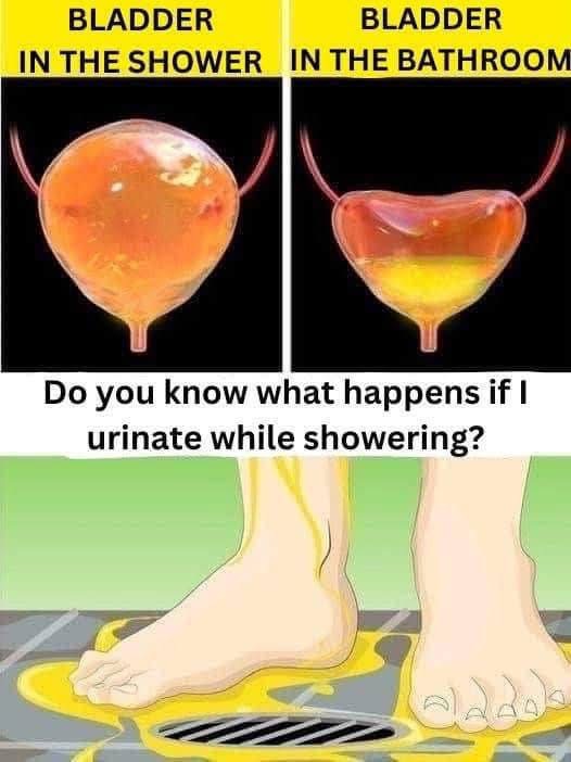 If You Urinate in the Shower — You Might Want to Think Twice!