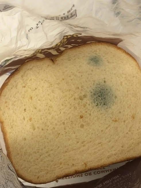 What Are These Greenish Spots on Bread? Experts Warn Against Eating It
