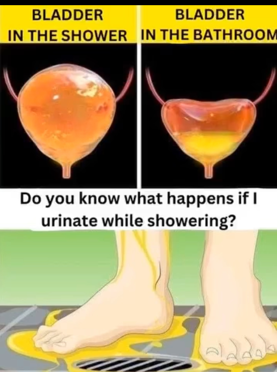 Think It’s Harmless? Here’s Why You Should Stop Peeing in the Shower