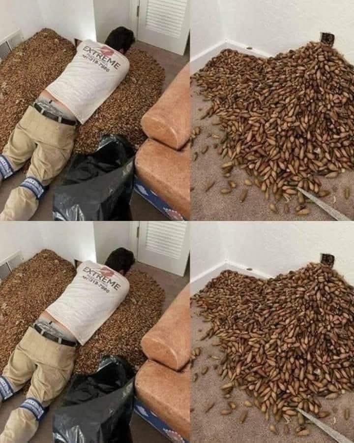 What the Strange Smell in His Home Revealed Still Haunts Him Today