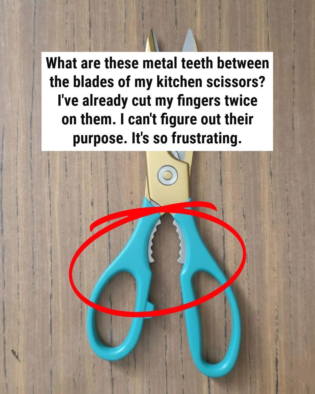 Those “Metal Teeth” on Your Kitchen Scissors Have a Purpose You Never Knew