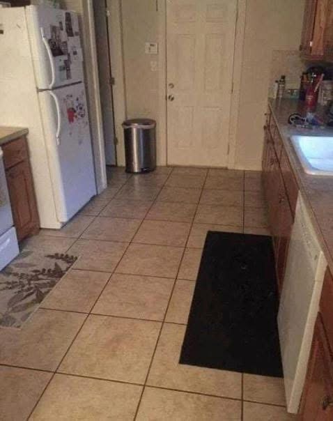 Only Sharp Eyes Will See the Big Dog in This Kitchen
