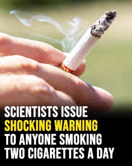 Scientists issue shocking health warning to anyone smoking two cigarettes a day