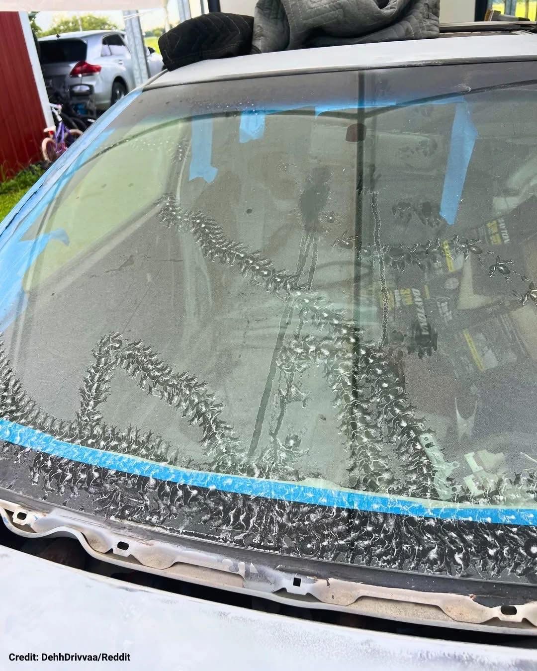 Mysterious Marks on My Car Had Me Worried