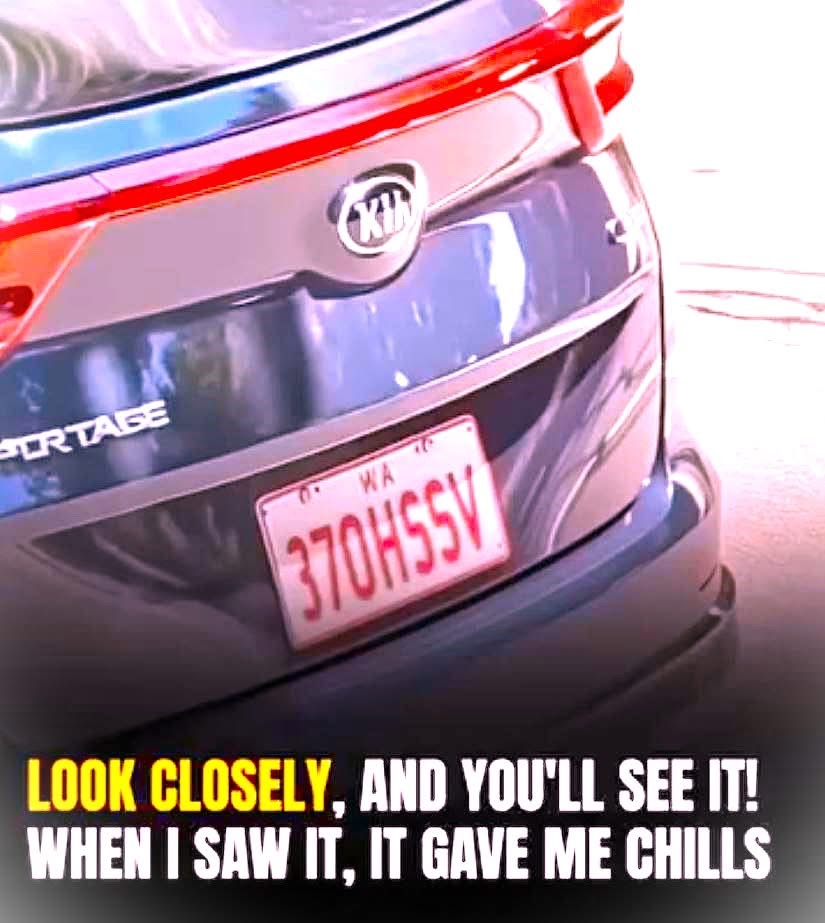 We Can’t Stop Laughing at These Genius License Plates!