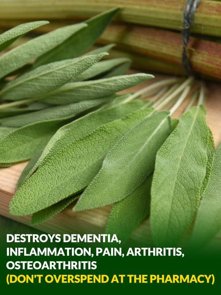 The Powerful Herb That Supports Brain Health and Eases Pain Naturally
