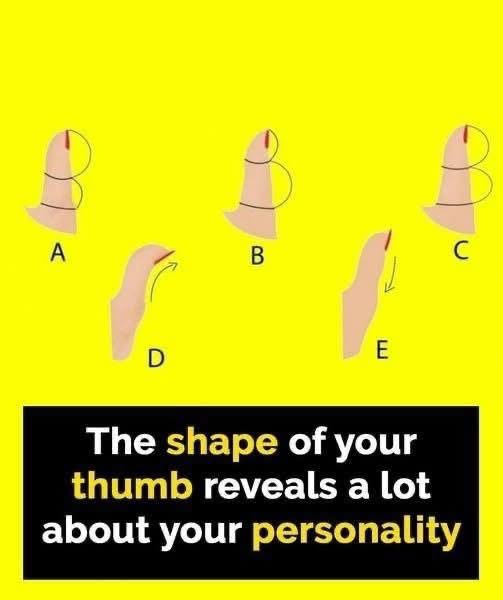 What Your Thumb Shape Says About Who You Are