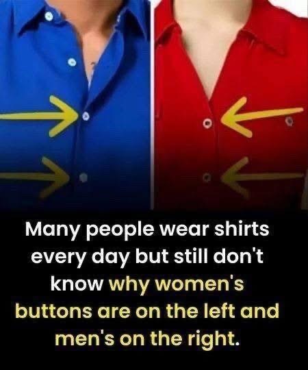 Why Are Women’s Buttons on the Left? The Fascinating Story Behind a Small Detail
