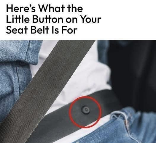 Here’s What That Tiny Button on Your Seat Belt Is Actually For