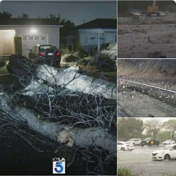Treacherous travel, toppled trees in Southern California as storm dumps heavy rain on region