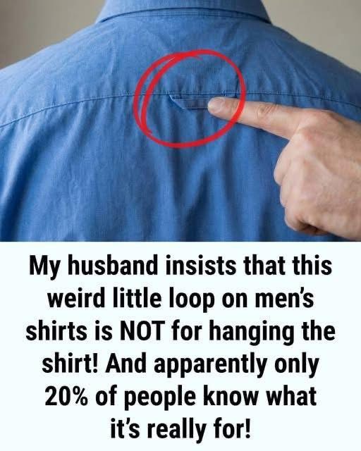Why Button-Down Shirts Feature a Loop on the Back