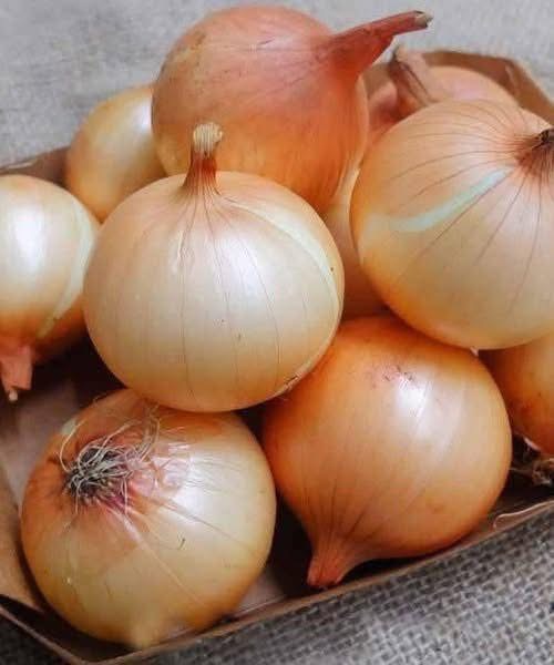 Doctors reveal that eating onion causes …