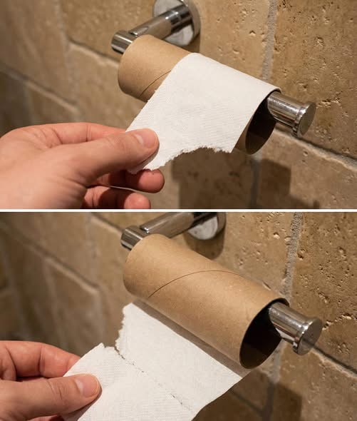 Why Toilet Paper Alternatives Are Gaining Popularity