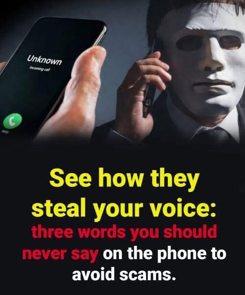 Discover How Scammers Can Steal Your Voice and Exploit You: Learn the Three Critical Words You Should Never Say on the Phone, the Hidden Tricks Criminals Use to Gain Control, and Simple Steps You Can Take to Protect Yourself from Identity Theft and Phone-Based Fraud Before It’s Too Late.