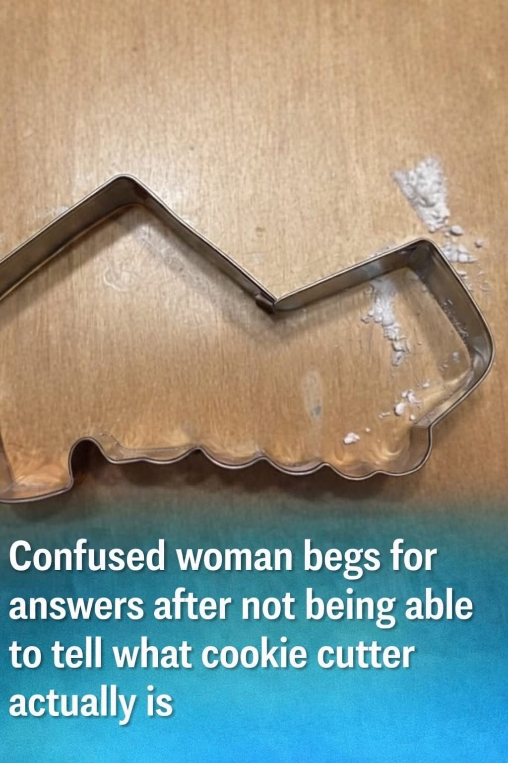 Woman Left ‘Stumped’ by Mystery Cookie Cutter
