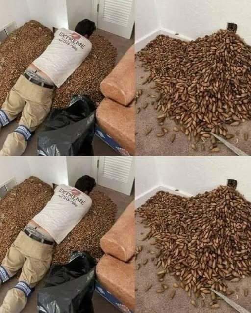 The Smell That Wouldn’t Leave: A Hidden Problem Revealed