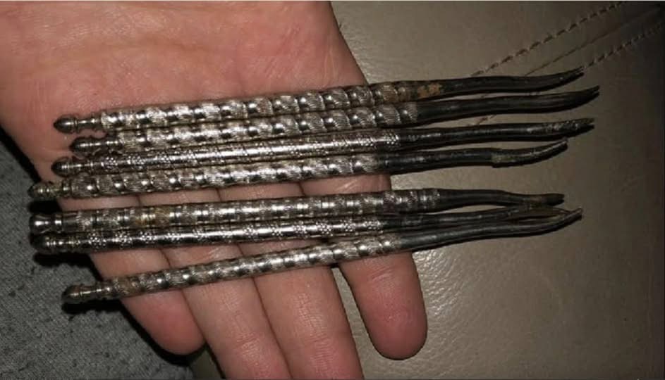 Internet Can’t Stop Debating This Unusual Nut-Gathering Gadget