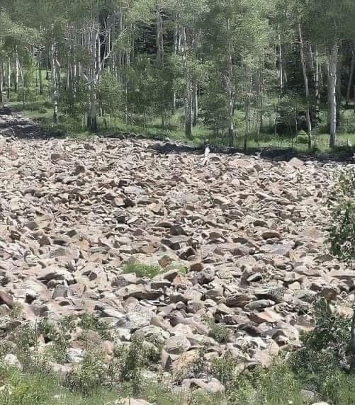 Only Sharp Eyes Can Spot the Hidden Detail in This Optical Illusion