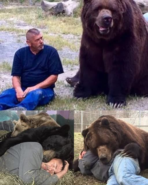 Jimmy the Bear — A Kind-Hearted Giant Who Loves Everyone”