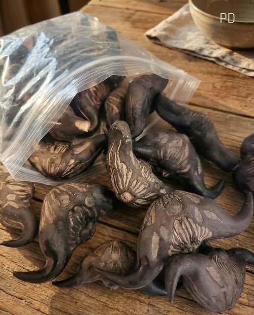 5 Warning Signs a Wild Forest Root May Not Be Safe to Eat