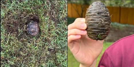 At First It Looked Like an Old Artifact, but It Was Actually This