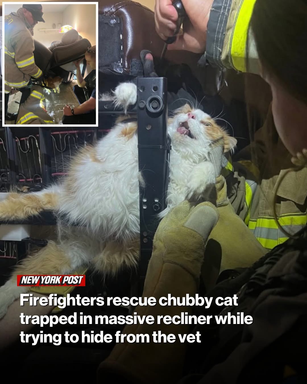 Kansas firefighters rescue chubby cat trapped in massive recliner while trying to hide from the vet