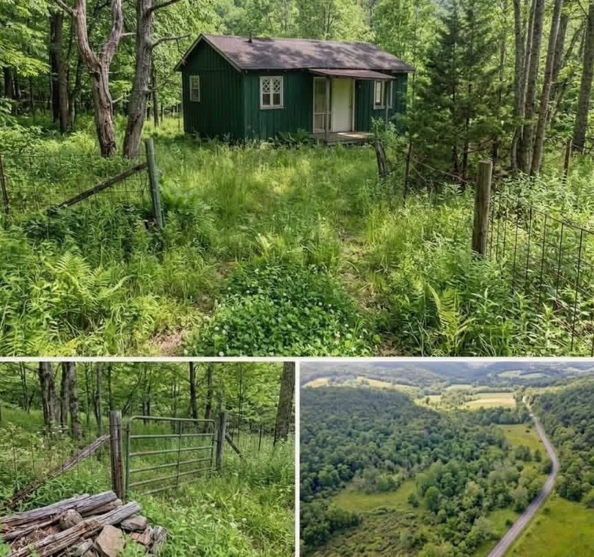 Rare Opportunity: Affordable Land Offering Peace, Space, and Seclusion