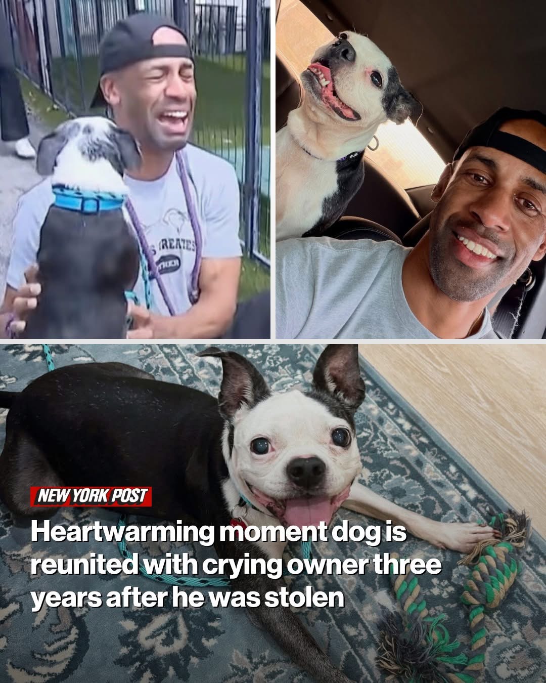 Heartwarming moment dog is reunited with crying owner three years after he was stolen