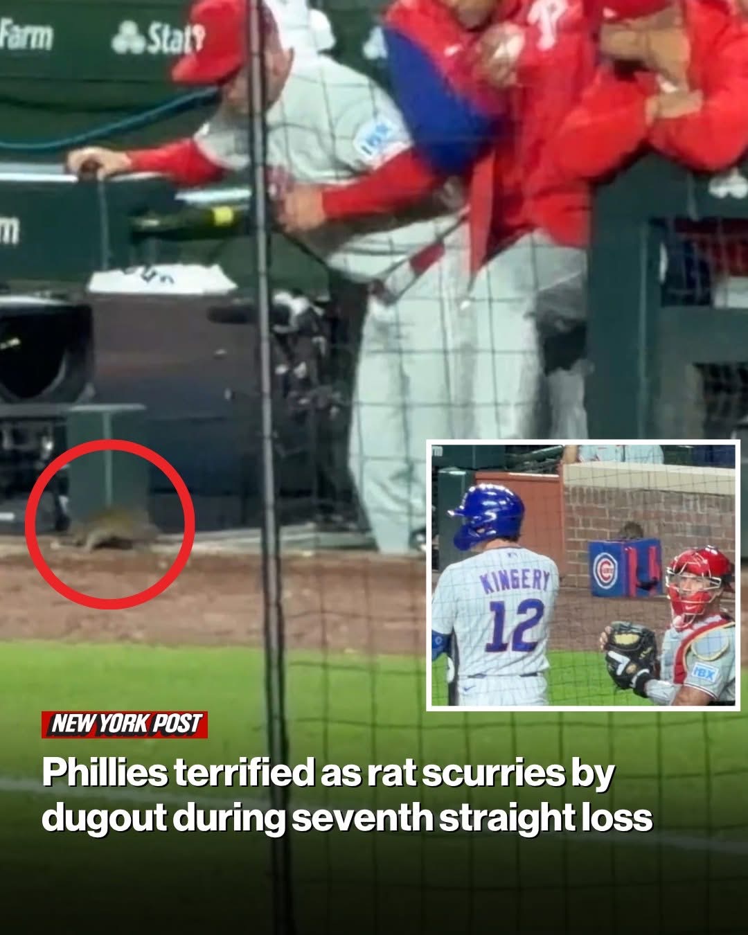 Phillies terrified as rat scurries by dugout during seventh straight loss